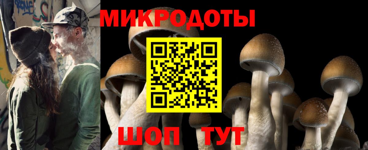 Псилоцибиновые грибы Magic Shrooms Новокузнецк